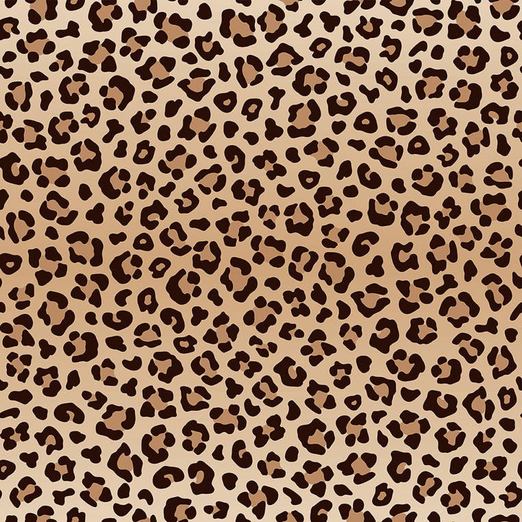 Highwaykick 2 Lifestyle Hulajnoga trójkołowa balansowa z zamykanym schowkiem 2+ Leopard / Scootandride