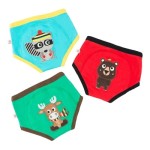 Majtki Treningowe Boy Forest 2/3 lata / Zoocchini