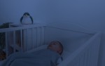 SHALLY Projektor Ptaszek - Zachód Słońca / Zazu