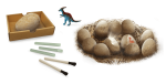 Mega paka jajek dinozaura - 12 sztuk / Buki 2138
