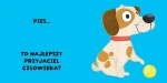 Czy to pasuje? Zwierzęta / Wydawnictwo Wilga