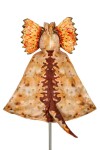 Kostium peleryna z kapturem - maską dinozaur Dilofozaur 4-7 lat / Souza!