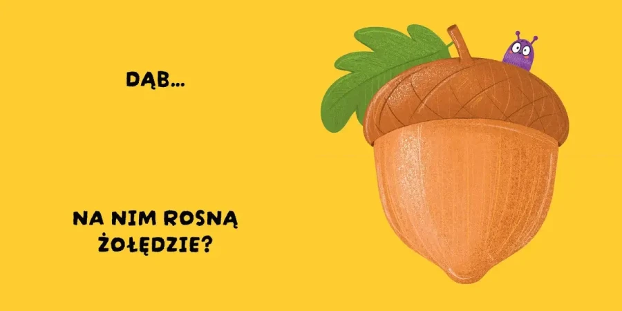 Czy to pasuje? Rośliny / Wydawnictwo Wilga