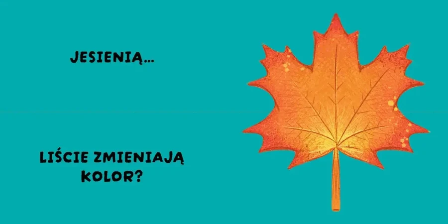 Czy to pasuje? Pory roku / Wydawnictwo Wilga