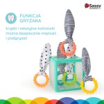 Manipulacyjna kostka sensoryczna Montessori, sorter z krążkami / Sassy