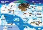 Zwierzęta. Moja pierwsza encyklopedia polsko-angielska z okienkami / Nasza Księgarnia