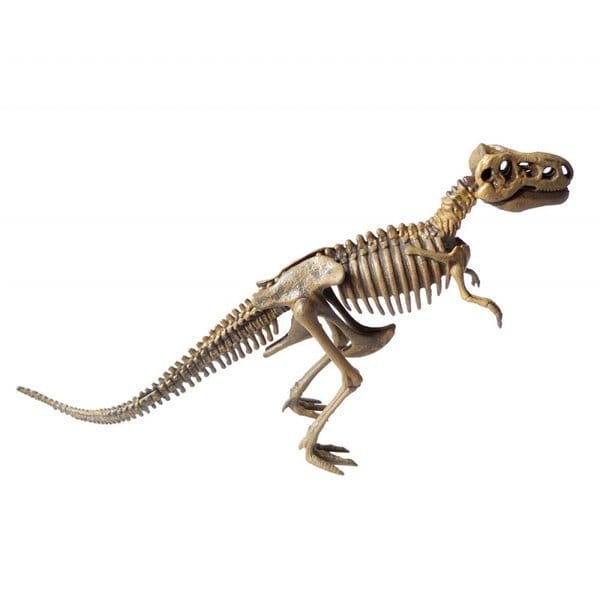 Szkielet dinozaura