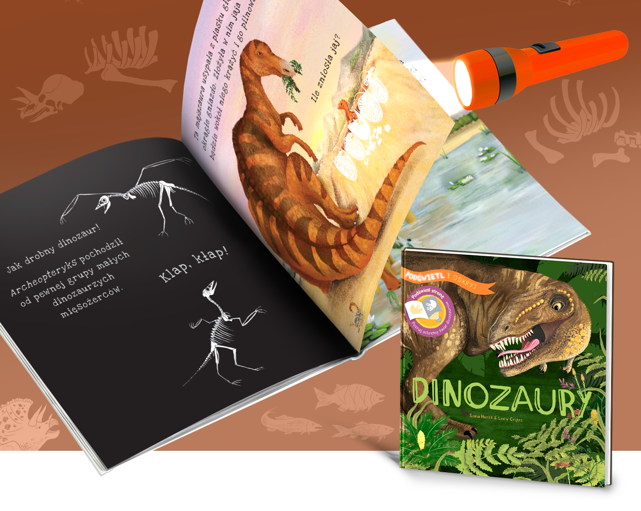 Książka o dinozaurach czytana z latarką